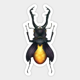 Amber Beetle Sticker